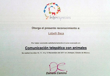 Reconocimiento
