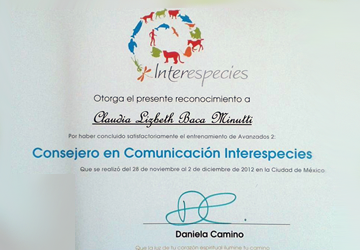 Reconocimiento